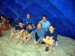 DSCN2103.JPG